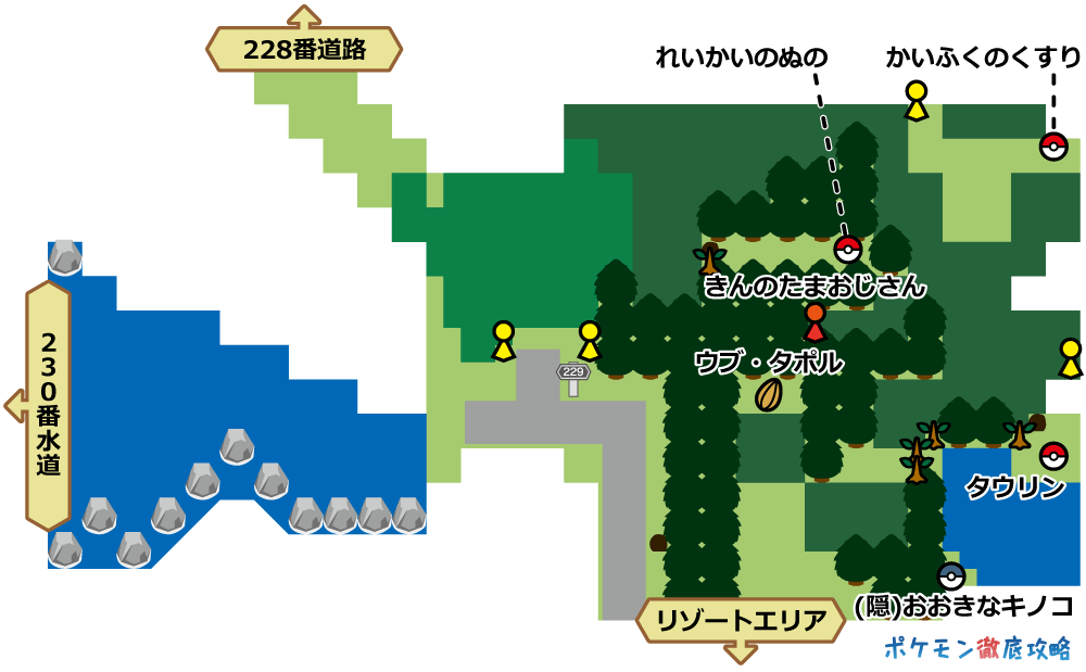 229番道路 マップと出現ポケモン ダイパリメイク攻略 ポケモン徹底攻略 229番道路 マップと出現ポケモン ダイパリメイク攻略 ポケモン徹底攻略