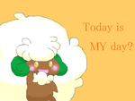 Today is MY day