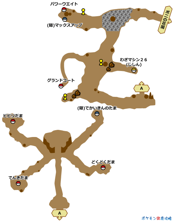 変形 私の 活発 ポケモン サンムーン かみなり パンチ コンパニオン 特異性 勝利した