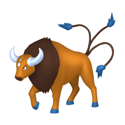 ���󥿥���