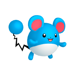 マリル｜ポケモン図鑑SV｜ポケモン徹底攻略