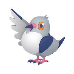 マメパト｜ポケモン図鑑ソードシールド｜ポケモン徹底攻略