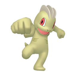 ワンリキー、ゴーリーキー ミラー ワンリキー、ゴーリーキー ミラー