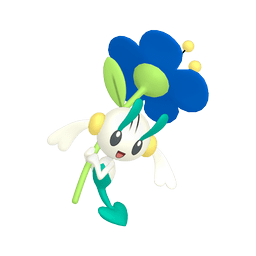 XY フラベベ フラエッテ フラージェス アンリミ XY フラベベ フラエッテ フラージェス アンリミ