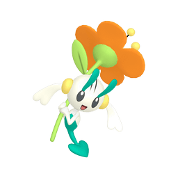 XY フラベベ フラエッテ フラージェス アンリミ XY フラベベ フラエッテ フラージェス アンリミ XY フラベベ