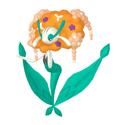 XY フラベベ フラエッテ フラージェス アンリミ XY フラベベ