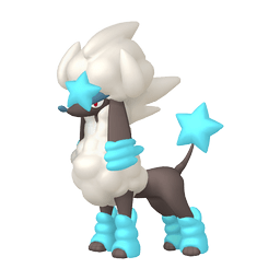 ���������å�