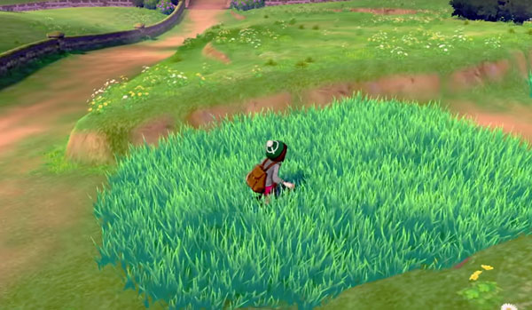 野生のポケモン