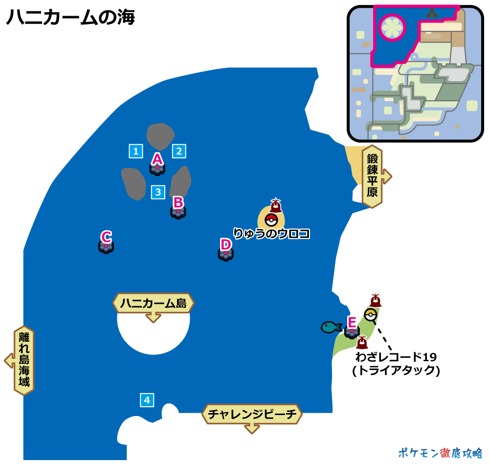 復活 シンボル ワイルド エリア