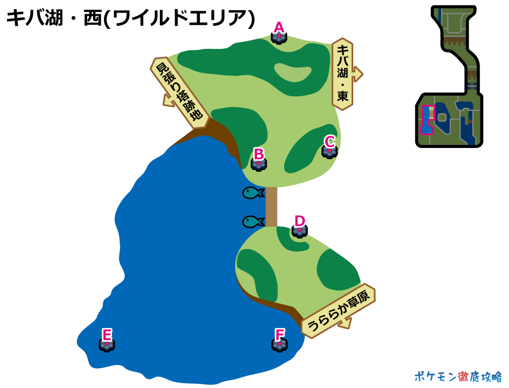 エリア ミロカロス ワイルド ミロカロ湖・南 (ワイルドエリア)