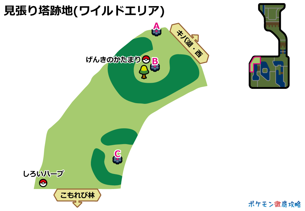 見張り塔跡地 のレイドバトル 巣穴で出現するポケモン 剣盾 ポケモン徹底攻略