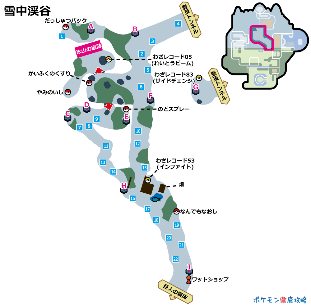 剣盾 冠の雪原 ストーリー攻略チャート ポケモン徹底攻略 剣盾 冠の雪原 ストーリー攻略チャート ポケモン徹底攻略