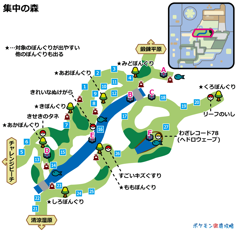 集中の森 ヨロイ島 の出現ポケモンとマップ画像攻略 剣盾 ポケモン徹底攻略 集中の森 ヨロイ島 の出現ポケモンとマップ画像攻略 剣盾 ポケモン徹底攻略