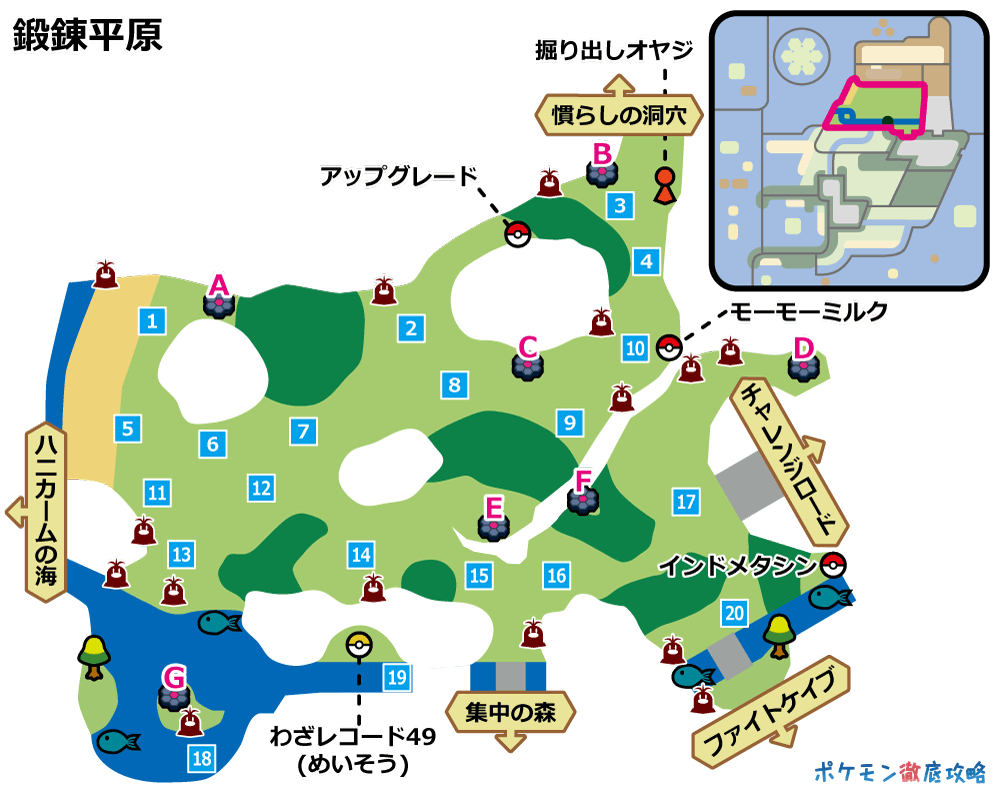 鍛錬平原 の巣穴とレイドバトルで出現するポケモン 剣盾 ポケモン徹底攻略