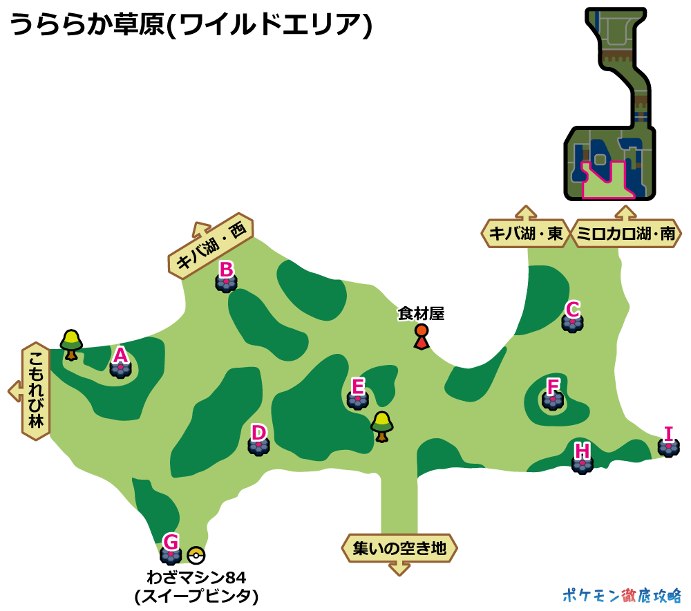 うららか草原 の巣穴とレイドバトルで出現するポケモン 剣盾 ポケモン徹底攻略 うららか草原 の巣穴とレイドバトルで出現するポケモン 剣盾 ポケモン徹底攻略