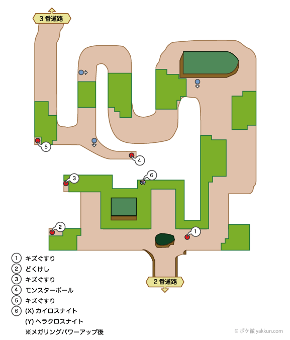 ハクダンの森 マップと出現ポケモン Xy攻略 ポケモン徹底攻略