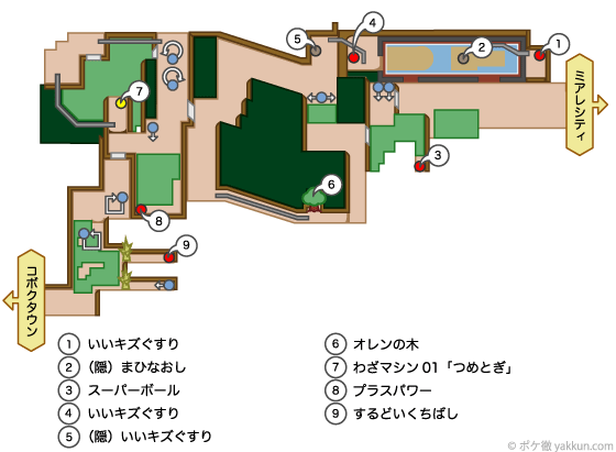 5番道路 マップと出現ポケモン Xy攻略 ポケモン徹底攻略